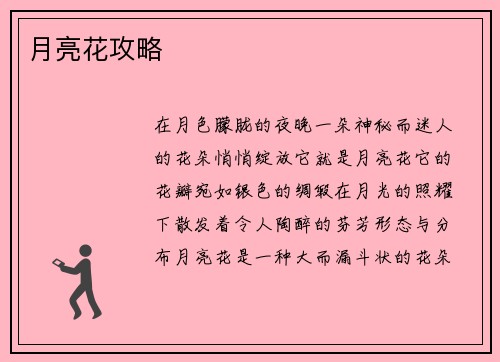 月亮花攻略